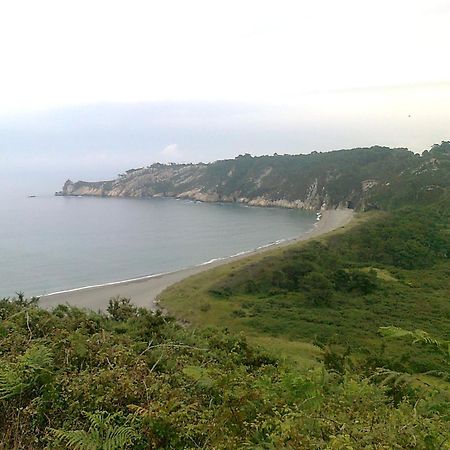 Apartamentos La Cruz de Paderne Navia Luaran gambar